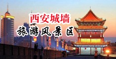 www.91国色美女骚屄被马儿的大鸡巴插入中国陕西-西安城墙旅游风景区